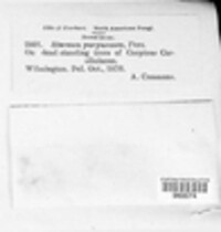 Image Associated With the Occurence